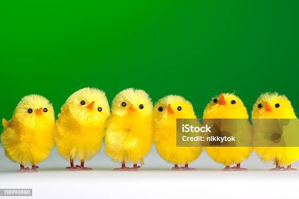 Gruppe Von Hühner Stockfoto und mehr Bilder von Hühnerküken - Hühnerküken, Ostern, Bildhintergrund