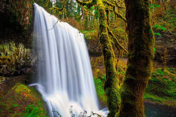 istock Lower South Falls Views at Silver Falls State Park 1189908956