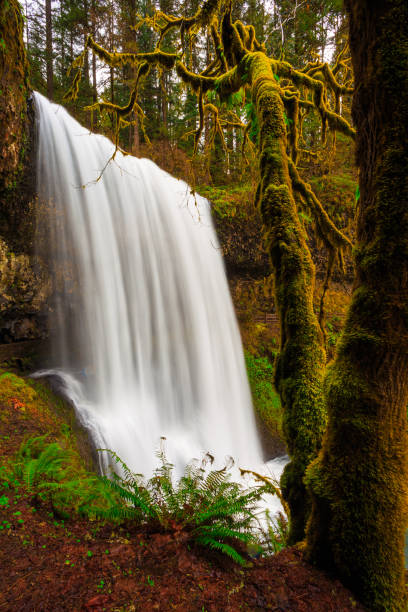 istock Lower South Falls Views at Silver Falls State Park 1189908964