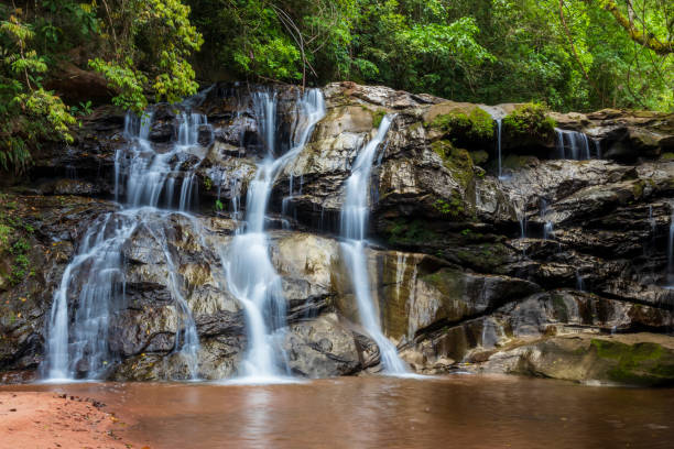 istock Waterfall in forest at Amboro national parc. Bolivia. 1189908983