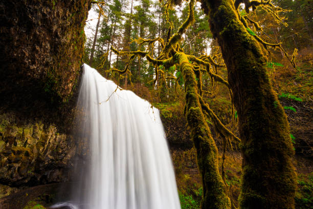 istock Lower South Falls Views at Silver Falls State Park 1189908987