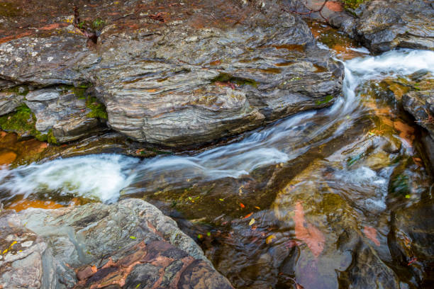 istock River in forest at Amboro national parc. Bolivia. 1189908992
