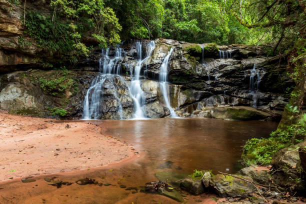 Waterfall in forest at Amboro national parc. Bolivia.