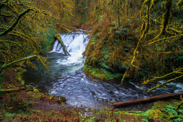 istock Lower North Falls at Silver Falls State Park 1189909020
