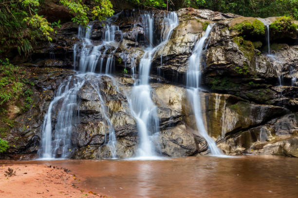istock Waterfall in forest at Amboro national parc. Bolivia. 1189909050
