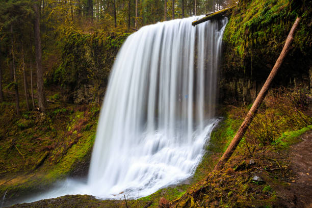 istock Middle North Falls View at Silver Falls State Park 1189909525