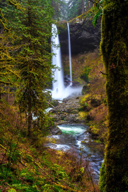 istock North Falls View at Silver Falls State Park 1189910383