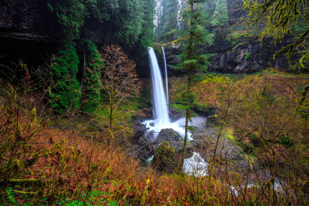 istock North Falls View at Silver Falls State Park 1189910478