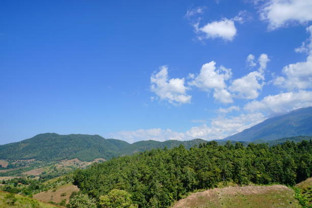 istock Blue Ridge Parkway Scenic Landscape 1189910483