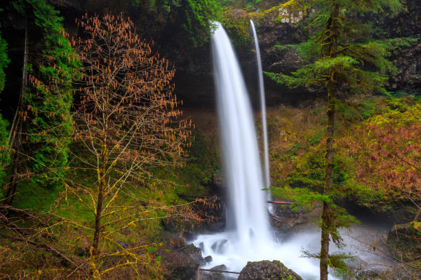 istock North Falls View at Silver Falls State Park 1189910526