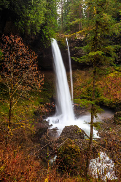 istock North Falls View at Silver Falls State Park 1189910587