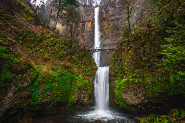 istock Multnomah Falls Views, Columbia River Gorge 1189911375