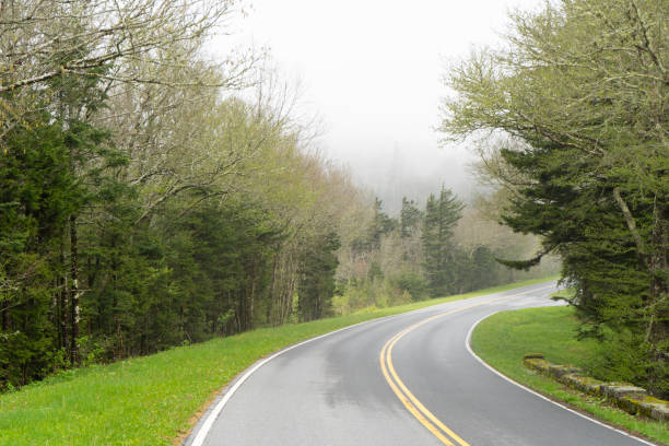 istock Winding road after rain 1189912309