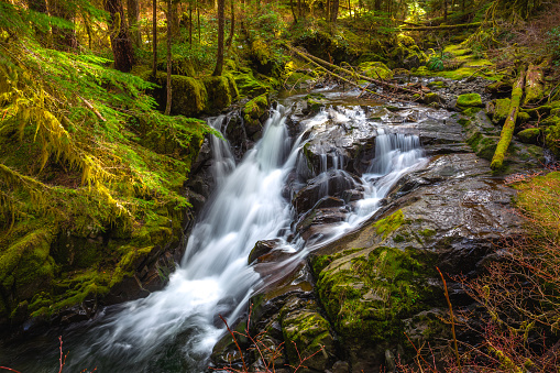 Lover's Lane Falls, Sol Duc Wilderness in Olympic National Park