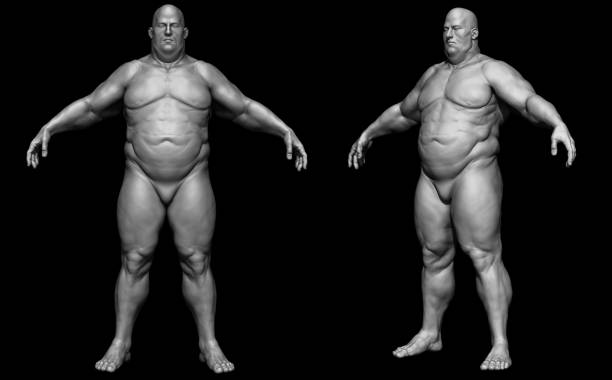 le corps humain - corps d'homme gras - modèle isolé - rendu 3d - showing off muscular build the human body human muscle photos et images de collection