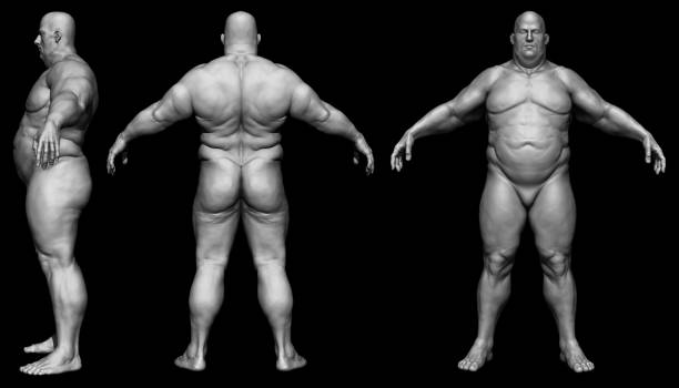 le corps humain - corps d'homme gras - modèle isolé - rendu 3d - showing off muscular build the human body human muscle photos et images de collection