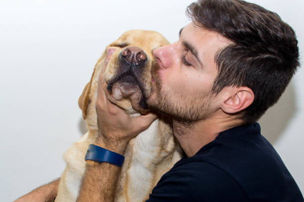 istock Look between a Labrador dog and his father 1189914113