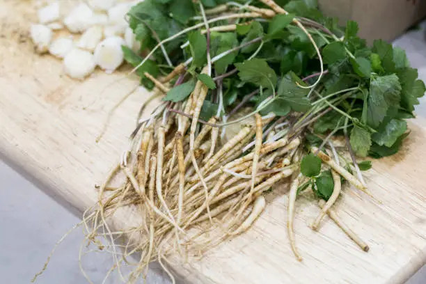 Photo of The sprouted seeds of ginseng (Panax ginseng)