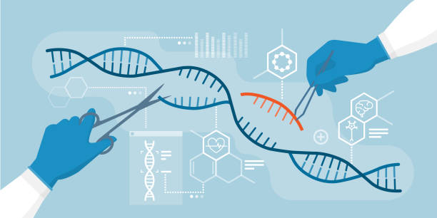 dna 및 게놈 편집 - dna chromosome genetic research genetic mutation stock illustrations