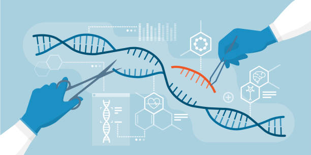DNA and genome editing Scientists analyzing DNA helix and editing genome within organisms, CRISPR technology crispr stock illustrations