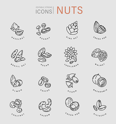 Vector icon and logo for nuts and seeds. Editable outline stroke size. Line flat contour, thin and linear design. Simple icons. Concept illustration. Sign, symbol, element.