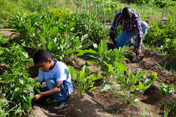 istock Friendly family works on garden beds 1189921820