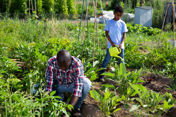 istock Friendly family works on garden beds 1189921824