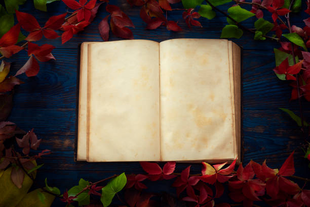 Autumn vintage old real book blank pages leaves frame red colorful on wooden blue rustic board
