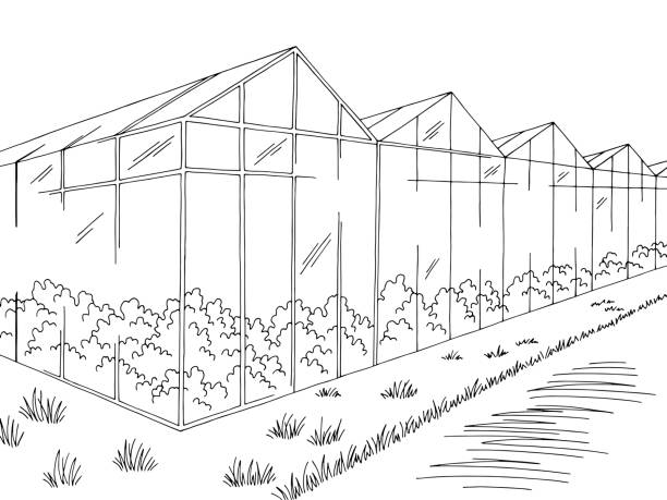 парниковый графический черно-белый пейзаж эскиз иллюстрация вектор - farm vegetable black landscape stock illustrations