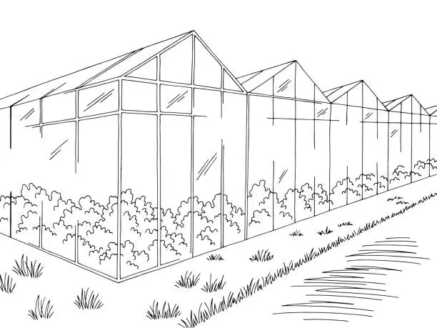 Vector illustration of Greenhouse graphic black white landscape sketch illustration vector