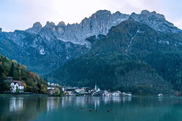 Panoramic view of the Lago di  Alleghe lake in the italian Dolomites with ducks swimming on the water