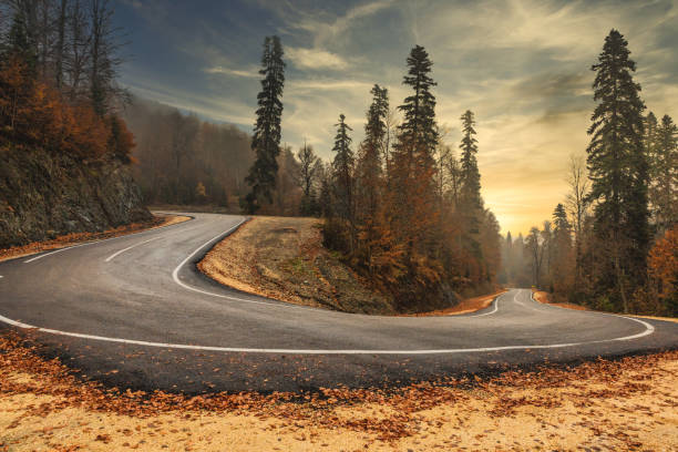 strada forestale in autunno - curve road winding road street foto e immagini stock