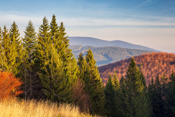 istock Mountainous countryside in northwest Bohemia. 1189924053