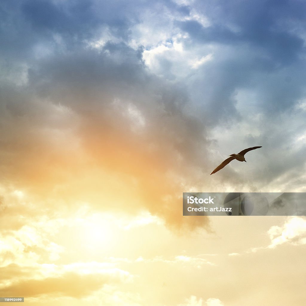 Dramáticas nuvens de tempestade e pássaros - Foto de stock de Amarelo royalty-free