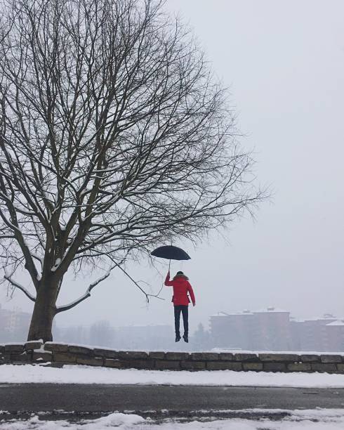 istock Man with a black umbrella in winter 1189925795