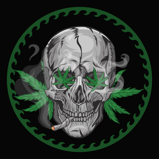 Skull smokes marijuana on a black background. Vector graphics. Skull smokes marijuana on a black background. Vector graphics. marijuana tattoo stock illustrations