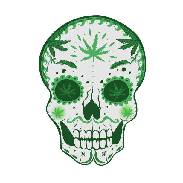 Sugar skull with cannabis Isolated on a white background. Vector graphics Sugar skull with cannabis Isolated on a white background. Vector graphics marijuana tattoo stock illustrations