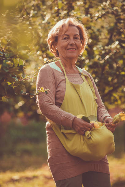 istock Senior woman picking quinces from a tree 1189931098