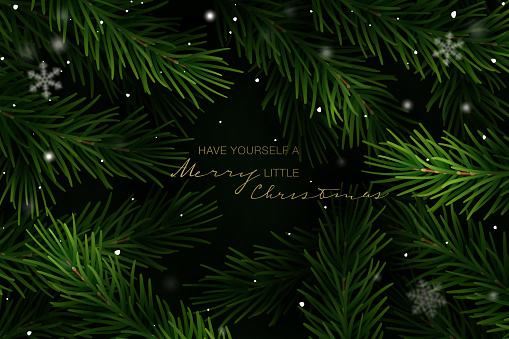 Christmas frame with fir tree branches and hand lettering. Vector Illustration.