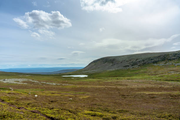 istock Landscape view from the Swedish highlands in summer sunlight 1189932599