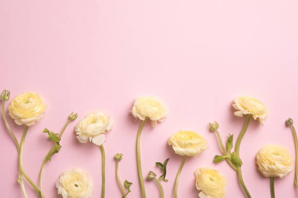 istock Beautiful spring flowers on pink background, flower frame composition 1189934266
