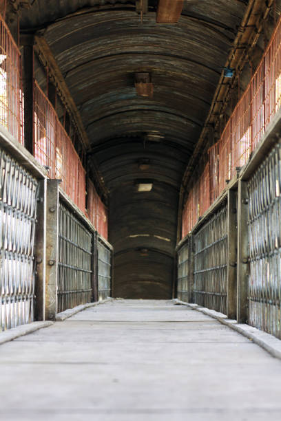 istock Wooden tunnel 1189934413