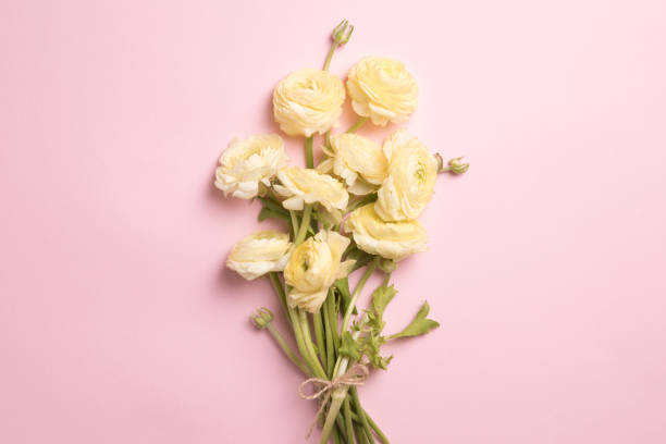 istock Flowers composition with flowers on pastel pink background. Flat lay, top view, copy space 1189934448