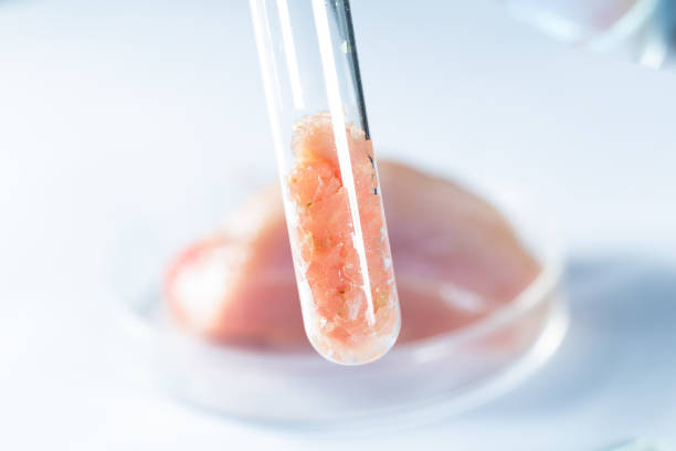 synthetic meat in glass test tube synthetic meat concept cultured cell stock pictures, royalty-free photos & images