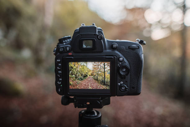 DSLR camera capturing a forest in autumn