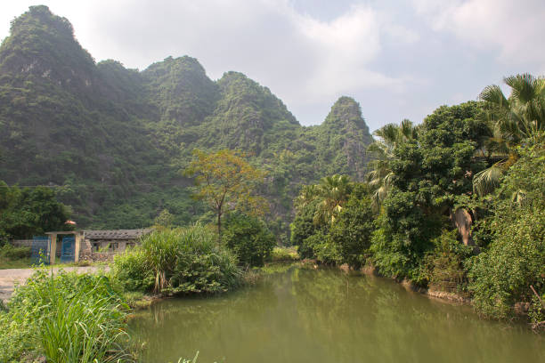 istock Panoramic view of karst formations and rice paddy fields in Tam Coc 1189941183