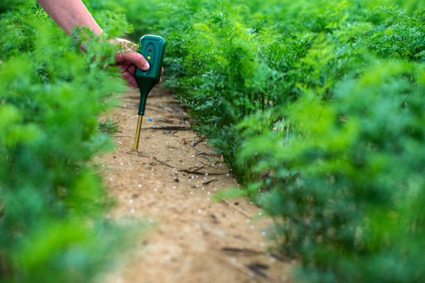 measure soil with digital device. green plants and woman farmer measure ph and moisture in the soil. - scientific experiment condensation instrument of measurement soil tester imagens e fotografias de stock