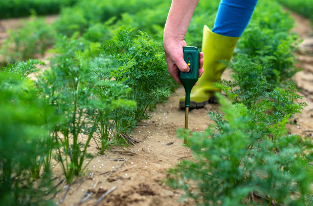 misurare il terreno con il dispositivo digitale. le piante verdi e le donne contadine misurano ph e umidità nel terreno. - dirt scientific experiment soil sample environment foto e immagini stock