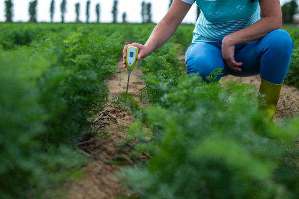 measure soil with digital device. green plants and woman farmer measure ph and moisture in the soil. - scientific experiment condensation instrument of measurement soil tester imagens e fotografias de stock