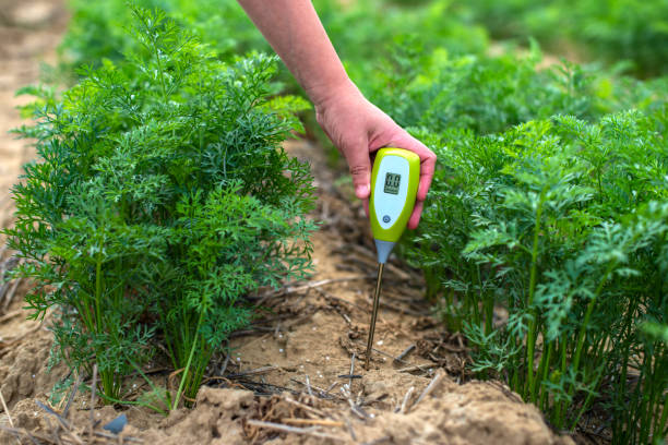 Measure soil with digital device. Green plants and woman farmer measure PH and moisture in the soil. Measure soil with digital device. Green plants and woman farmer measure PH and moisture in the soil. High technology agriculture concept. nitrogen photos stock pictures, royalty-free photos & images
